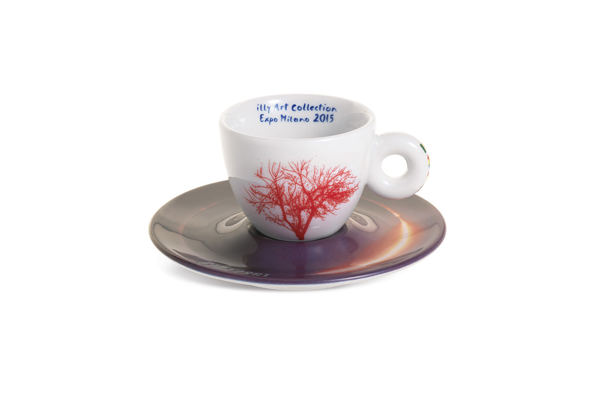 2015 Expo Sustainart2 Espresso Fincanı illy art collection