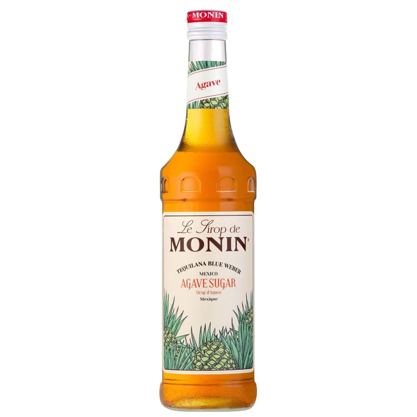 Monin Agave Şurubu (700ML)