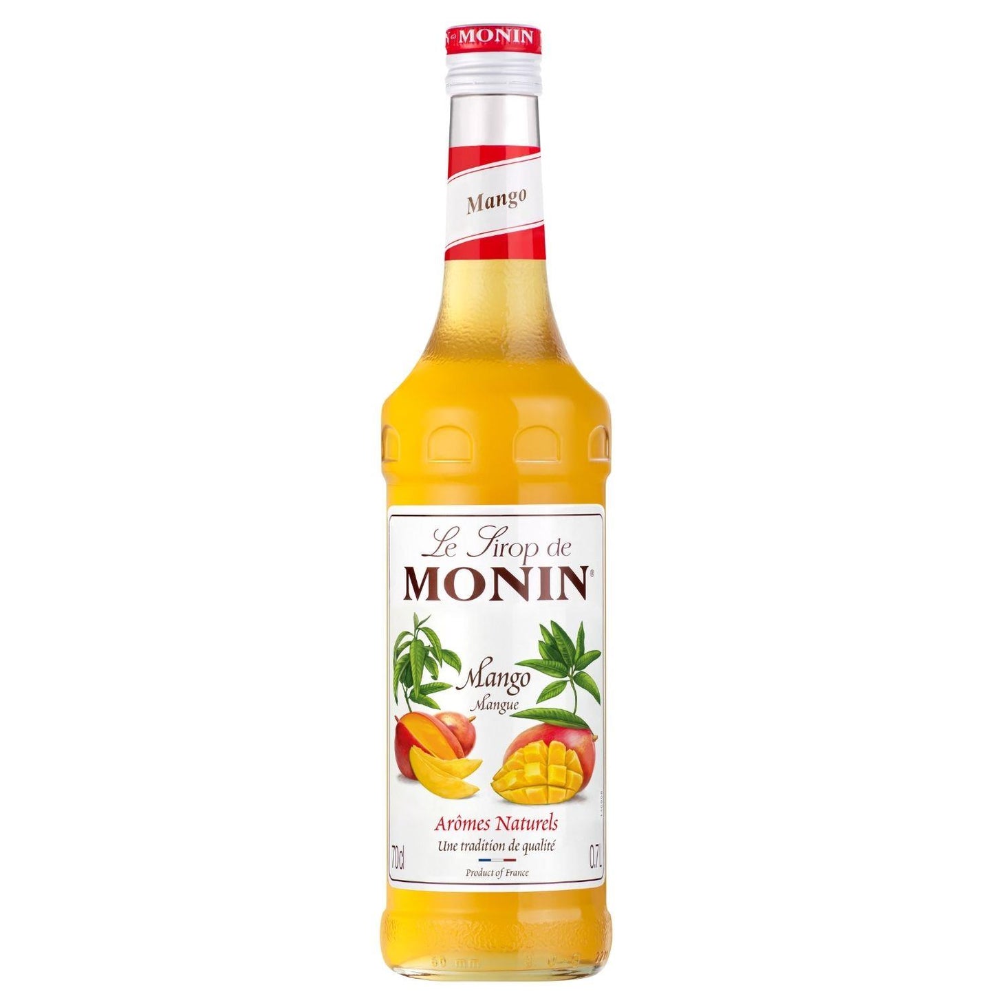 Monin Mango Şurubu (700ml)